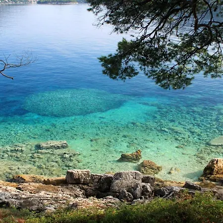 And By The Sea Ubli, Lastovo - 991 Gostinjska kuća