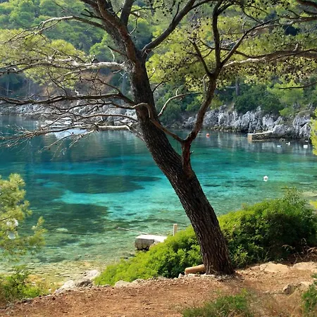 And By The Sea Ubli, Lastovo - 991 Uble
