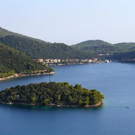 Gostinjska kuća And By The Sea Ubli, Lastovo - 991
